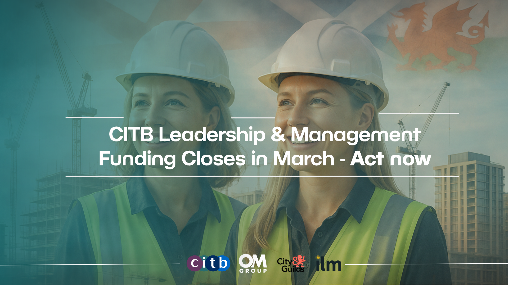 Bridging the gap image